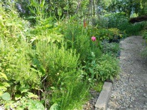 Gardening Gloucestershire