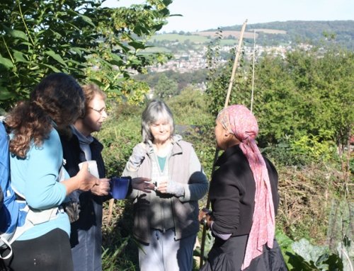 Selsley Community Growing Scheme open day part of Stroud Valleys Showcase