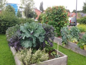 Vale Allotments